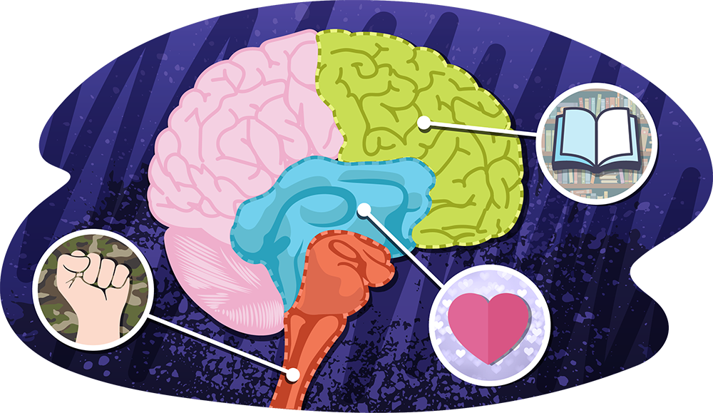 Diagram of the brain